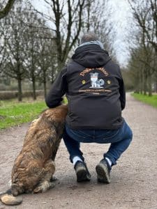 Propriétaire et chien participant à une séance de jeux éducatifs pour renforcer les liens dans les Weppes