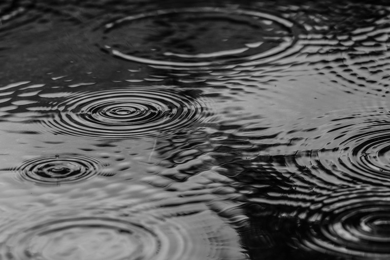 puddle, water, rain, splash, monochrome, puddle, rain, rain, rain, rain, nature, rain