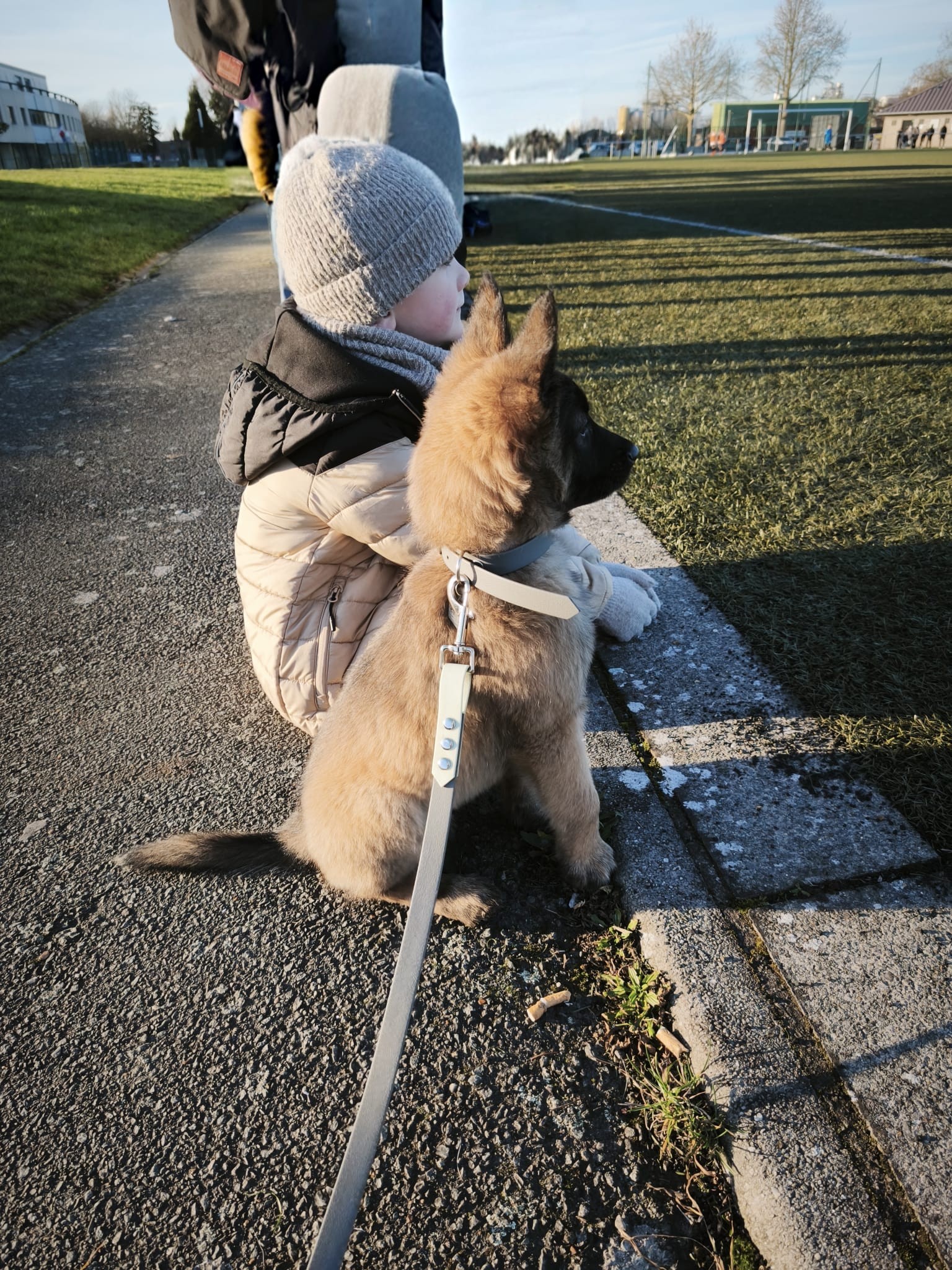 Séance d’éducation d’un chiot avec Doggy’Cation